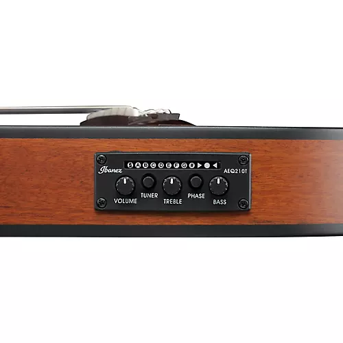 Ibanez FRH10N Nylon-String Acoustic-Electric Guitar Rose Gold Metallic Flat