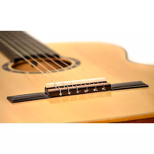 Ortega Family Series RCE125SN Thinline Acoustic-Electric Classical Guitar Satin Natural