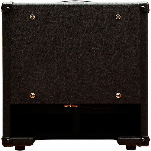 DV Mark AC101 150W 1x10 Compact Acoustic Guitar Combo Amp Brown