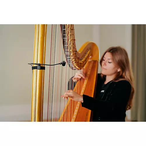 Neumann MCM 114 Miniature Clip Microphone System: Woodwinds