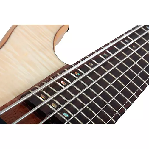 Schecter Guitar Research Charles Berthoud CB-6 6-String Electric Bass Guitar Natural Satin