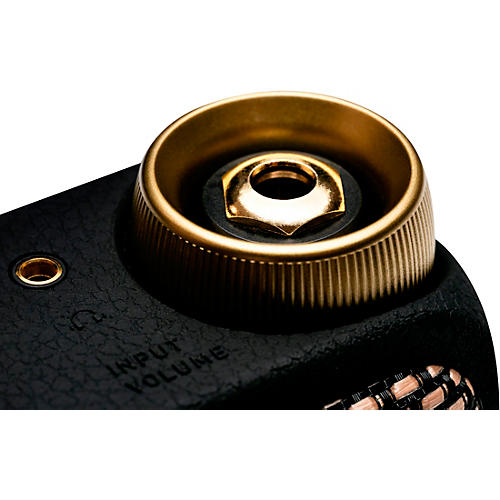 Positive Grid Spark GO 5W Battery-Powered Combo Amplifier Pearl