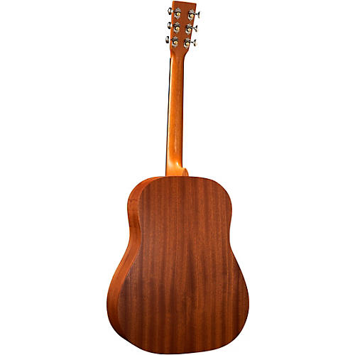 Martin DSS Biosphere II Dreadnought Acoustic Guitar Whale