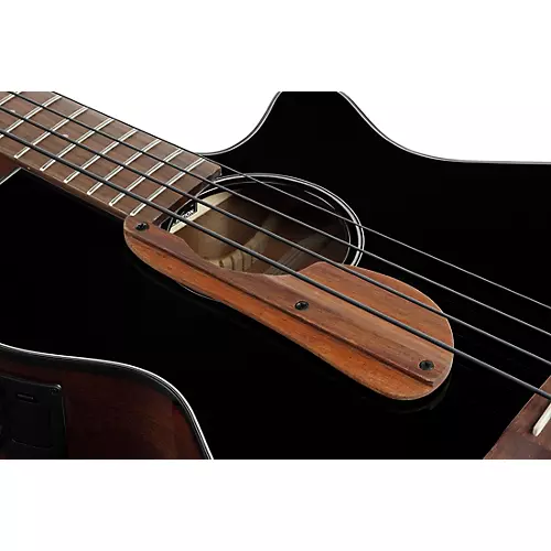 Ibanez AEGB24E Acoustic-Electric Bass Guitar Black Gloss