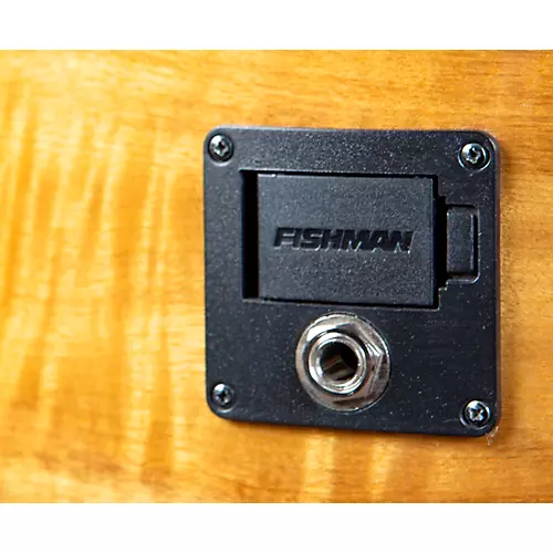 Breedlove Pursuit Exotic S CE Fretless Concerto Acoustic-Electric Bass Amber Burst