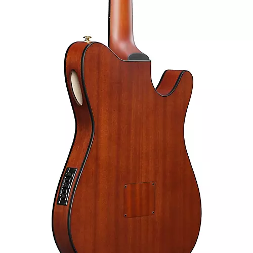 Ibanez FRH10NL Left-Handed Nylon-String Acoustic-Electric Guitar Brown Sunburst Flat