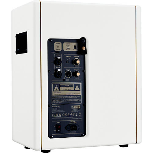 Positive Grid Spark CAB Powered FRFR Speaker Cab Black