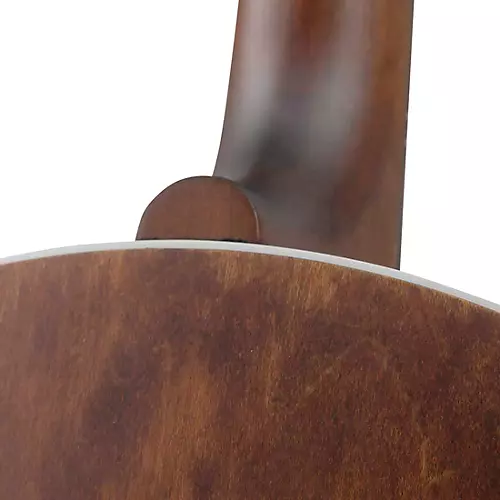 Deering Sierra 17-Fret Tenor Banjo