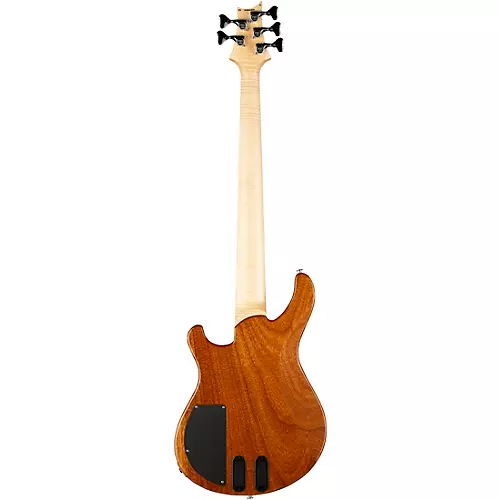 PRS Grainger 10-Top 5-String Bass Eriza Verde