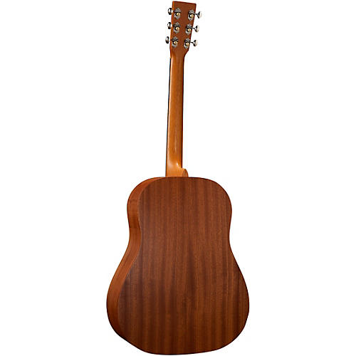 Martin DSS Biosphere II Dreadnought Acoustic Guitar Whale