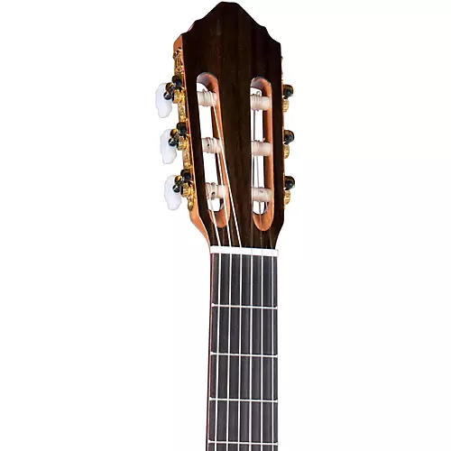 Lucero LC235SCE Acoustic-Electric Exotic Wood Classical Guitar Natural