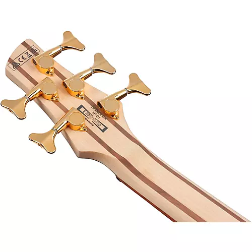 Ibanez SR305EDX 5-String Electric Bass Guitar Wine Red Frozen Matte