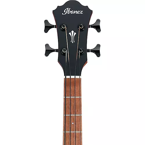 Ibanez AEGB24E Acoustic-Electric Bass Guitar Black Gloss