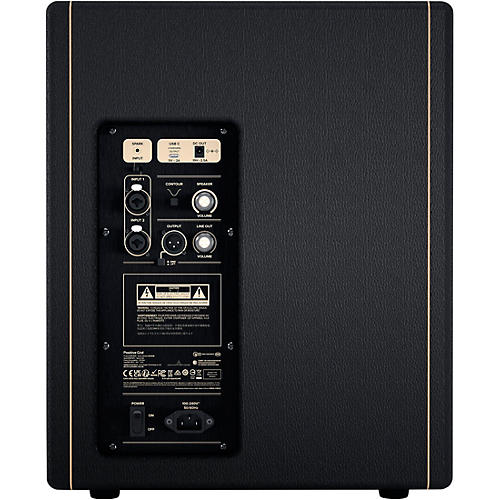 Positive Grid Spark CAB Powered FRFR Speaker Cab Black