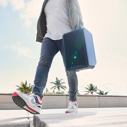 LD Systems ANNY 8 Portable 8