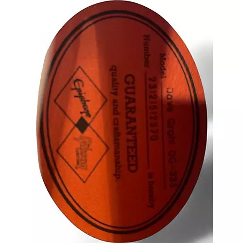 Used Epiphone Dave Grohl DG-335 Pelham Blue Hollow Body Electric Guitar Pelham Blue