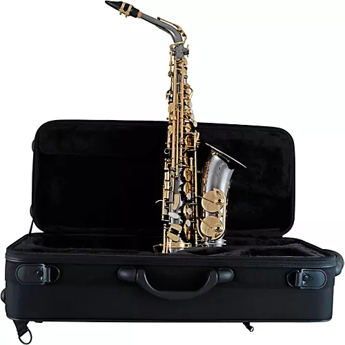 Selmer Selmer Alto Saxophone, Lacquer Finish, Lightweight Case, Selmer R402 Mouthpiece Black Nickel Body Gold Lacquer Keys