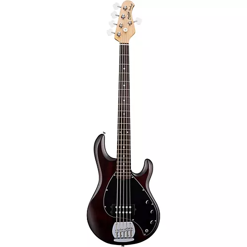 Sterling by Music Man StingRay RAY5 5-String Electric Bass Guitar Satin Walnut