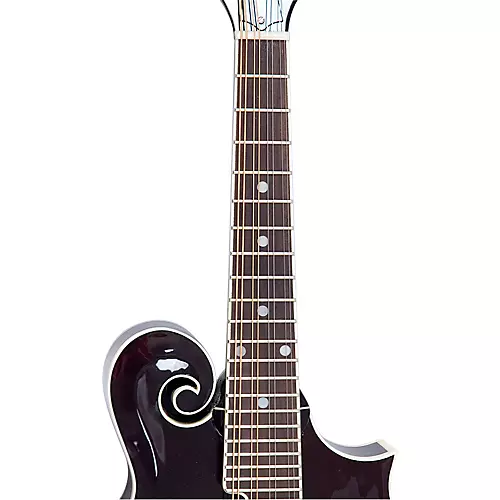 The Loar LM-520 Hand-Carved F-Model Acoustic Mandolin Sunburst