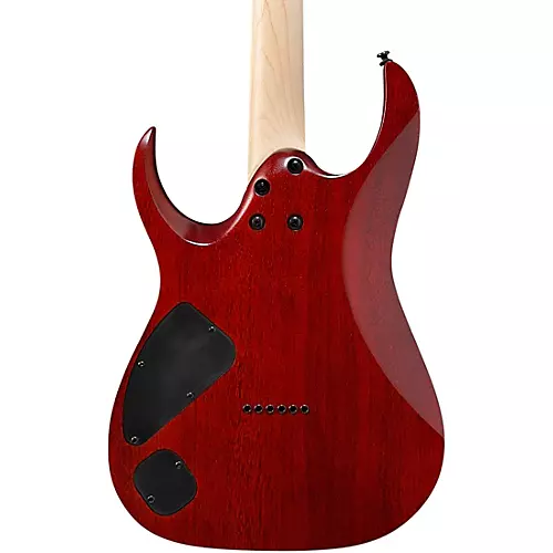 Ibanez RGA series RGA42FM Electric Guitar Transparent Gray Flat