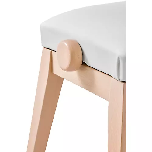 Casio BG-50BK Adjustable Piano Bench for Privia PX-S7000 Black