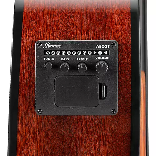 Ibanez AEGB24E Acoustic-Electric Bass Guitar Black Gloss