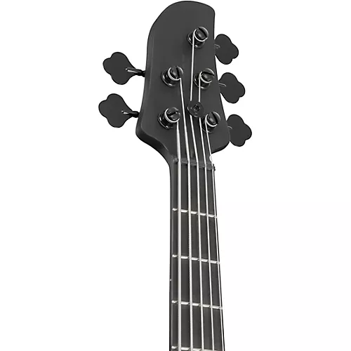 Ibanez TMB425B 5-String Electric Bass Guitar Black Flat