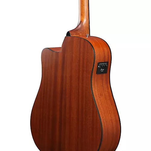 Ibanez AAD50CE Advanced Acoustic Grand Dreadnought Acoustic-Electric Guitar Natural Low Gloss