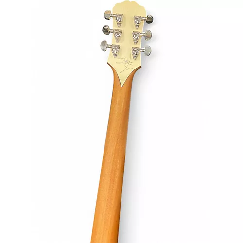 Used Epiphone Jared James Nichols Old Glory Black Solid Body Electric Guitar Black