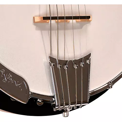 Gold Tone GT-500 Banjo