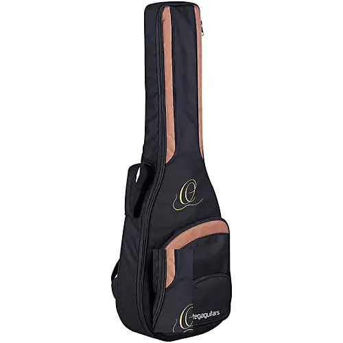 Ortega RCE138-T4 Thinline Acoustic-Electric Nylon Guitar High Gloss Natural