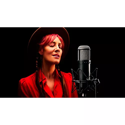 Universal Audio Sphere DLX Modeling Microphone