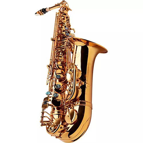 Allora AAS-580 Chicago Series Alto Saxophone Un-Lacquered Unlacquered Keys