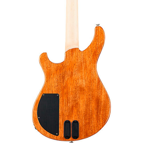 PRS Grainger 10-Top Bass Guitar Purple Iris