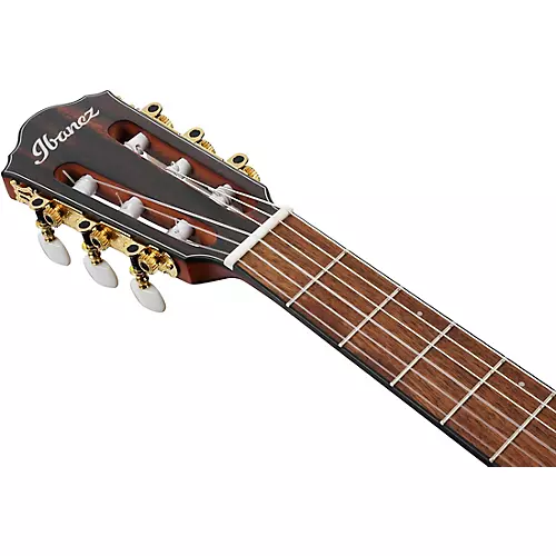 Ibanez FRH10NL Left-Handed Nylon-String Acoustic-Electric Guitar Brown Sunburst Flat
