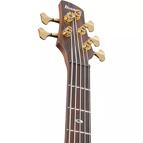Ibanez Prestige SR5505 5-String Electric Bass Guitar Mocha Flat