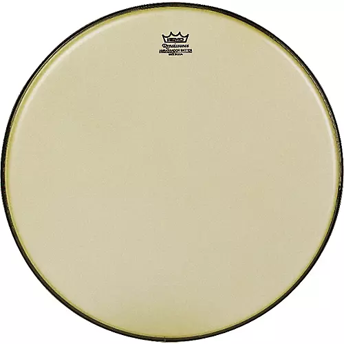 Remo Renaissance Ambassador Tom Batter 10 in.