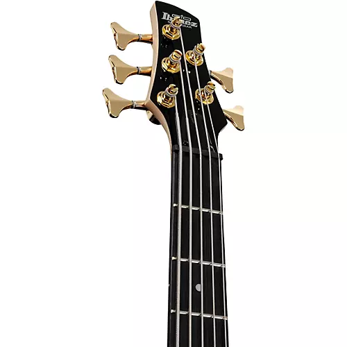 Ibanez GSR205PC 5-String Electric Bass Guitar Transparent Pale Black Burst