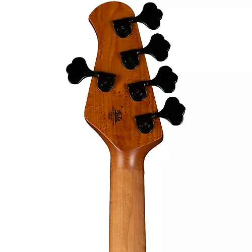 Ernie Ball Music Man DarkRay 5 H Ebony Fingerboard 5-String Electric Bass Dark Rainbow