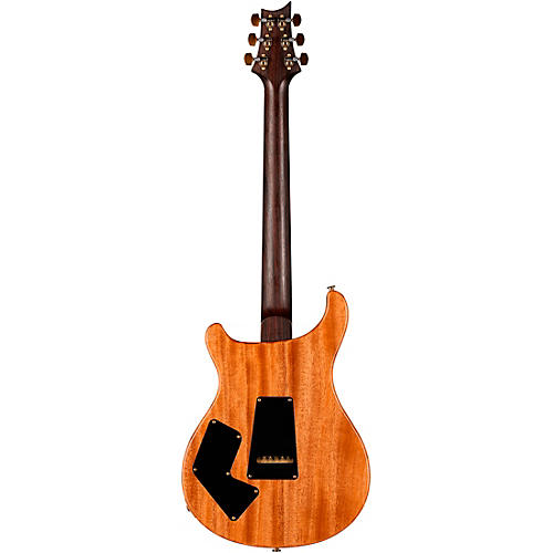 PRS Wood Library Modern Eagle V With 10-Top Quilt and East Indian Rosewood Neck Electric Guitar Copperhead Burst