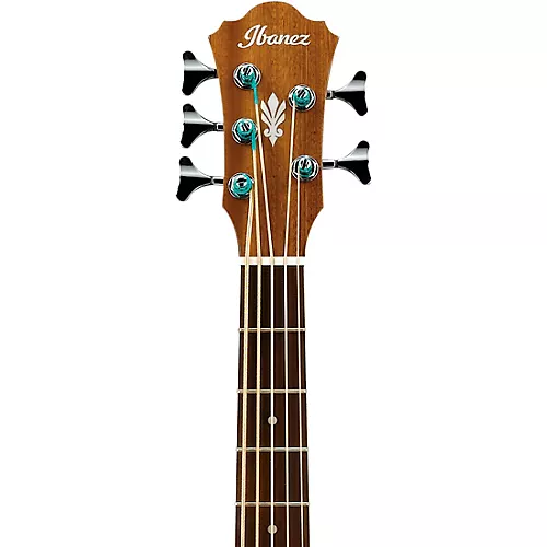 Ibanez AEB105E 5-String Acoustic-Electric Bass Guitar Gloss Natural