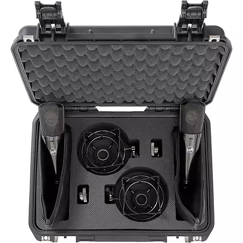 Warm Audio WA-87 R2 TS Large-Diaphragm Condenser Microphone Pair