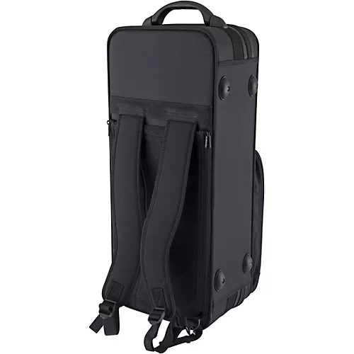 Selmer Selmer Alto Saxophone, Lacquer Finish, Lightweight Case, Selmer R402 Mouthpiece Black Nickel Body Gold Lacquer Keys