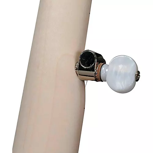 Deering Goodtime 2 Nickel Banjo