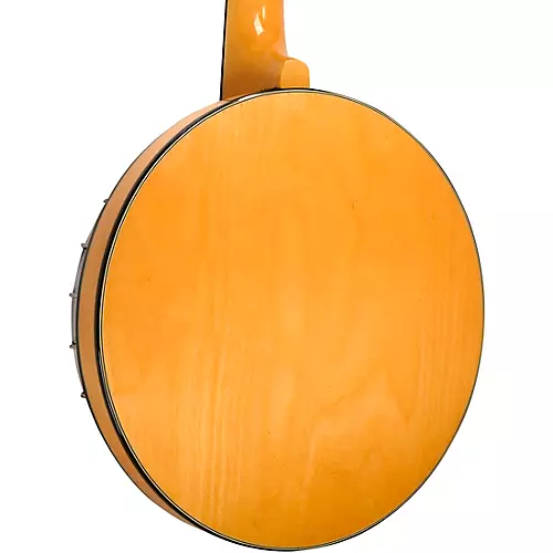 Gold Tone GT-500 Banjo