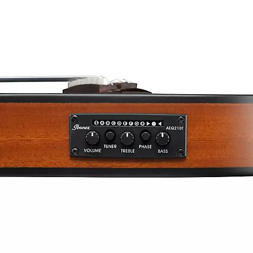 Ibanez FRH10N Nylon-String Acoustic-Electric Guitar Rose Gold Metallic Flat