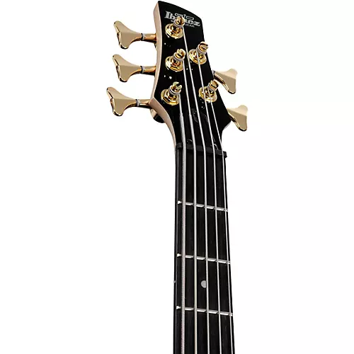 Ibanez GSR205PC 5-String Electric Bass Guitar Transparent Pale Black Burst
