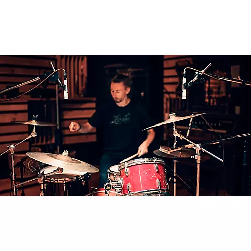 Universal Audio SP-1 Standard Pencil Microphone (Matched Pair)