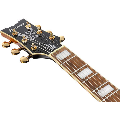 Ibanez John Scofield Signature Electric Guitar Two-tone Burst