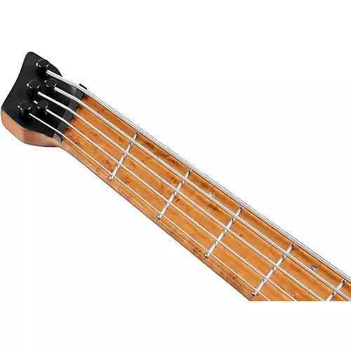 Ibanez Left-Handed EHB1005MSL 5-String Multi-Scale Ergonomic Headless Bass Sea Foam Green Matte